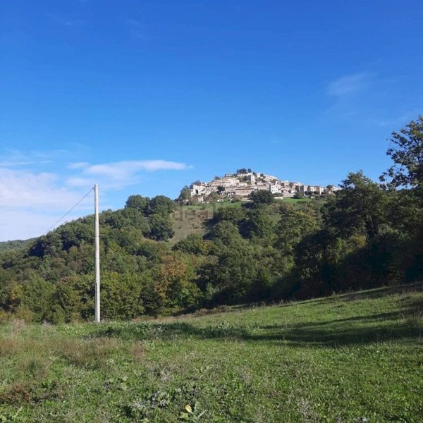 locale di sgombero in vendita a Semproniano