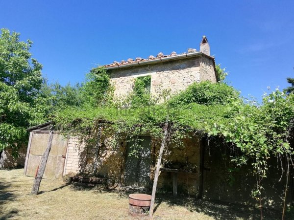 appartamento in vendita a Semproniano