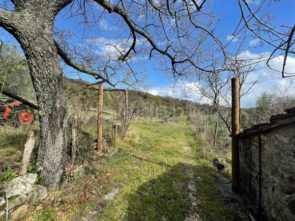 locale di sgombero in vendita a Semproniano
