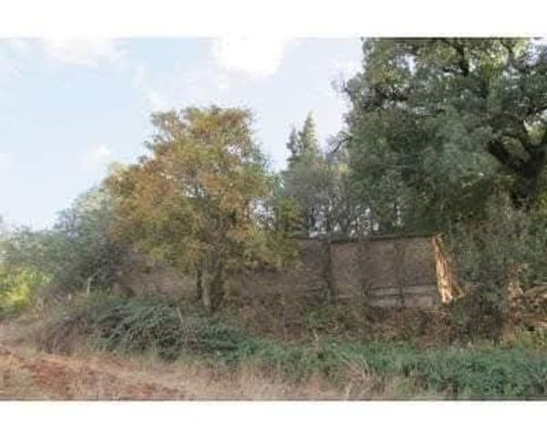 appartamento in vendita a Semproniano