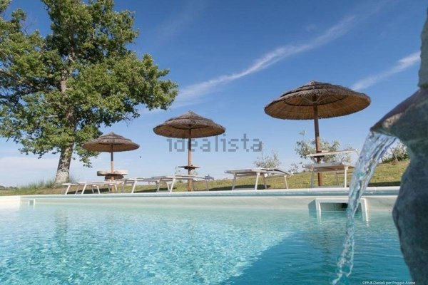 azienda agricola in vendita a Semproniano