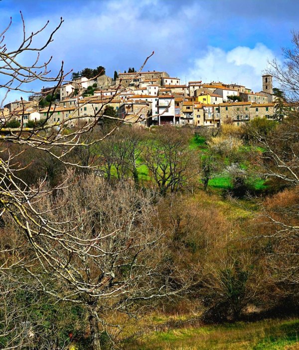 appartamento in vendita a Semproniano