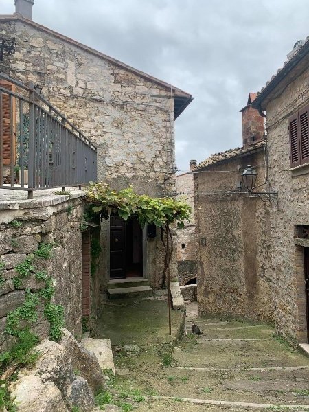 appartamento in vendita a Semproniano