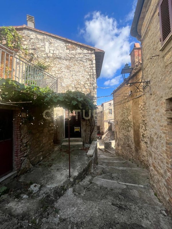 appartamento in vendita a Semproniano