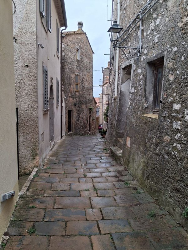 appartamento in vendita a Semproniano