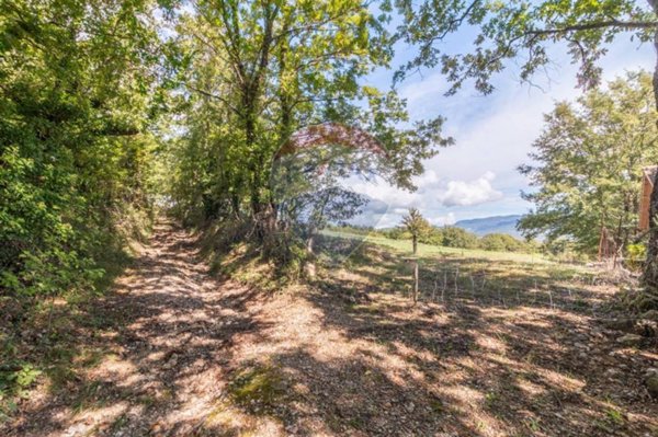 terreno agricolo in vendita a Semproniano in zona Catabbio