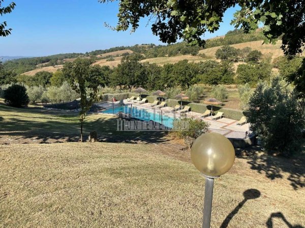 appartamento in vendita a Semproniano