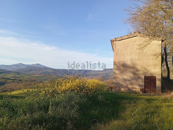 terreno agricolo in vendita a Semproniano