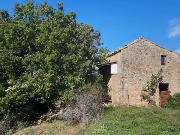 terreno agricolo in vendita a Semproniano