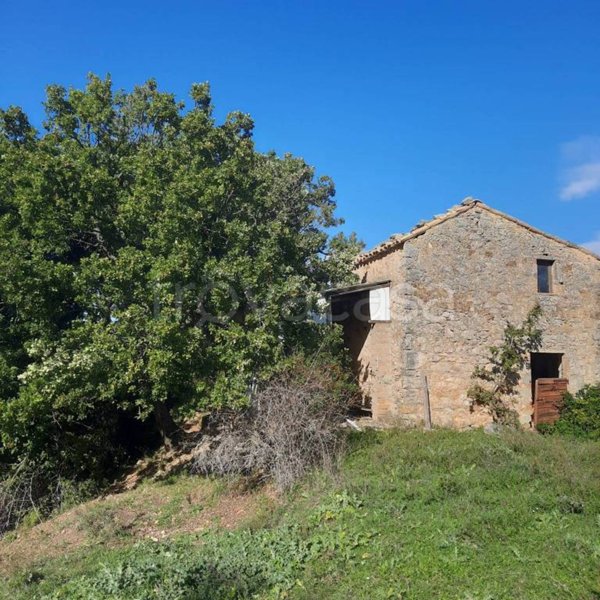 terreno agricolo in vendita a Semproniano