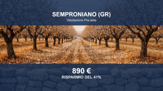 terreno agricolo in vendita a Semproniano