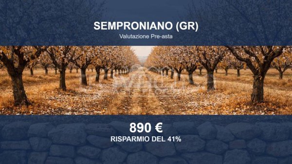 terreno agricolo in vendita a Semproniano in zona Catabbio