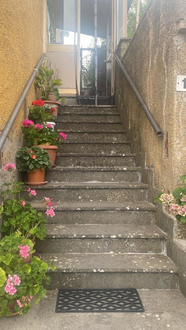 esavano in vendita a Semproniano