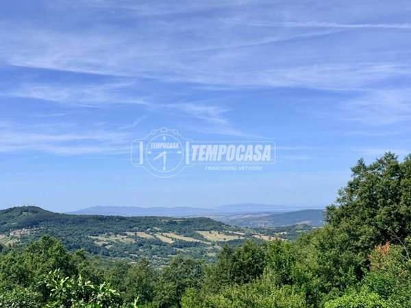 appartamento in vendita a Semproniano