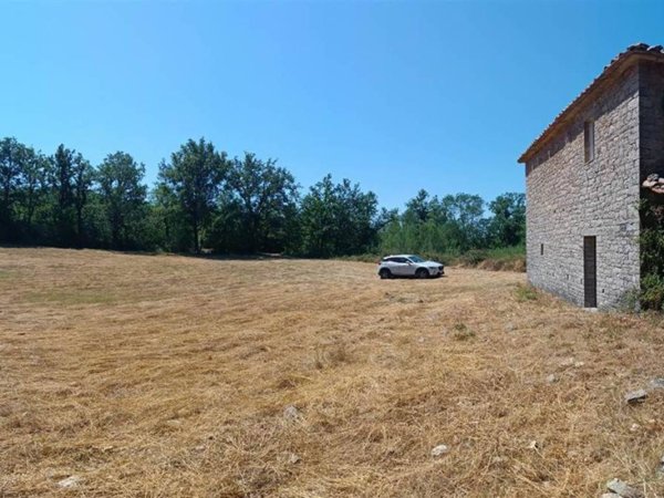 casa indipendente in vendita a Semproniano in zona Petricci