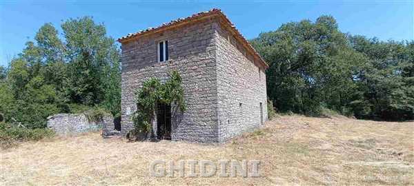 casa indipendente in vendita a Semproniano in zona Petricci