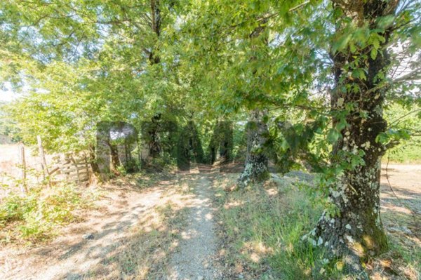 villa in vendita a Semproniano in zona Petricci