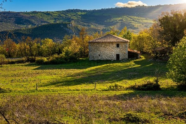 casale in vendita a Semproniano in zona Petricci