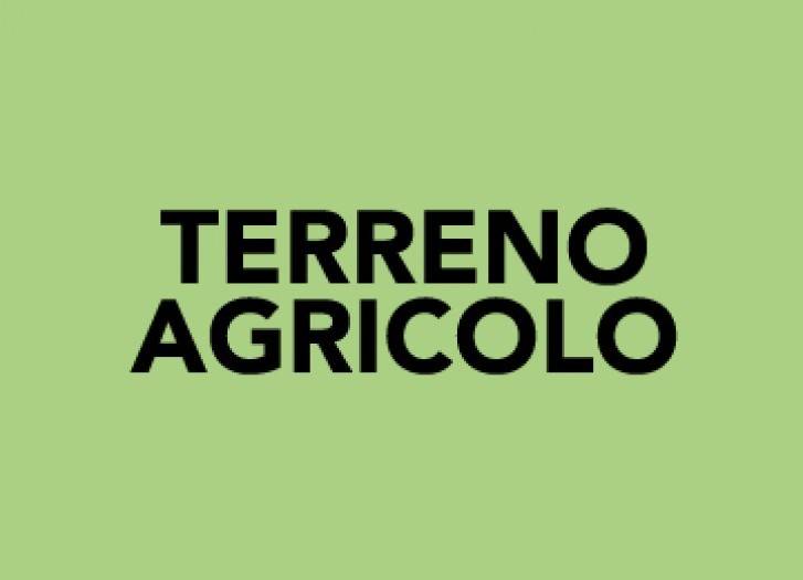 terreno agricolo in vendita ad Assisi in zona Pieve San Nicolò