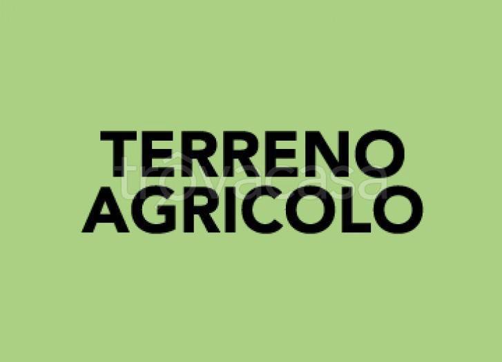 terreno agricolo in vendita ad Assisi in zona Pieve San Nicolò