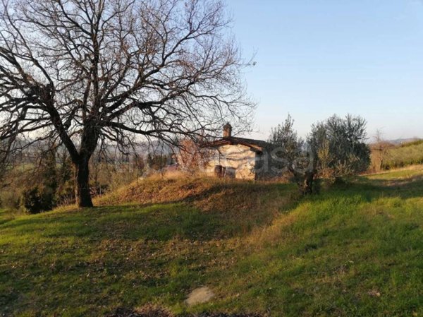 terreno agricolo in vendita ad Assisi in zona Sterpeto