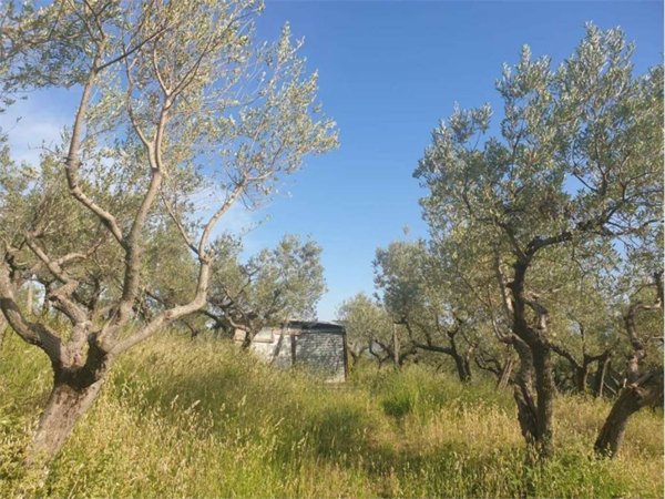 terreno agricolo in vendita ad Assisi in zona Capodacqua