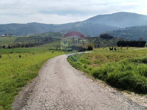terreno agricolo in vendita ad Assisi