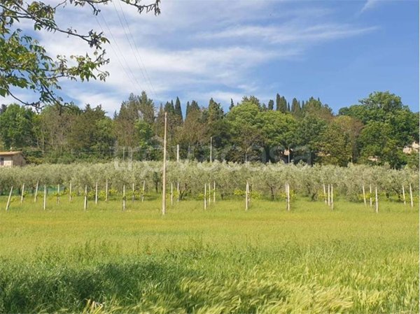 terreno agricolo in vendita ad Assisi