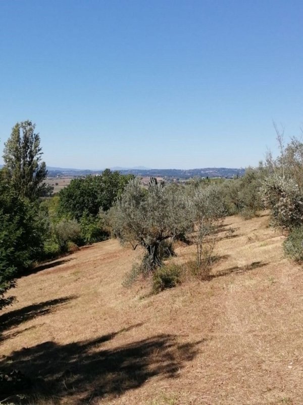casa indipendente in vendita ad Assisi in zona Rocca San Angelo