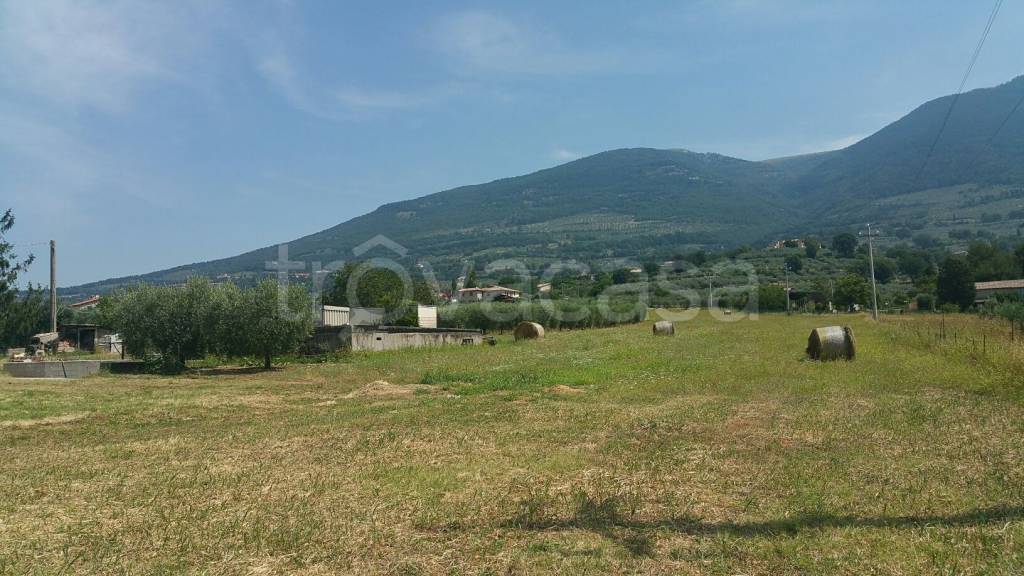 terreno agricolo in vendita ad Assisi