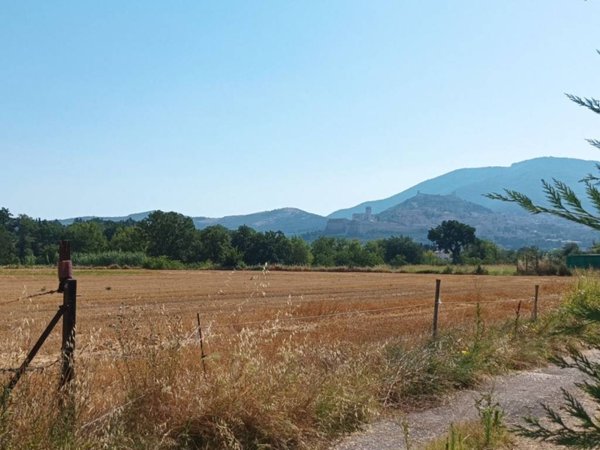 terreno agricolo in vendita ad Assisi in zona Pieve San Nicolò