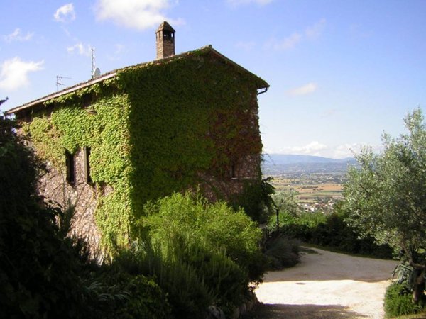 casa indipendente in vendita ad Assisi in zona Viole