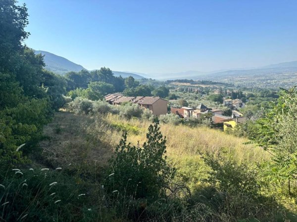 terreno agricolo in vendita ad Assisi in zona Viole