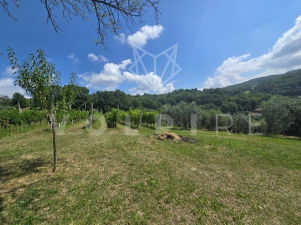 terreno agricolo in vendita ad Assisi in zona Petrignano