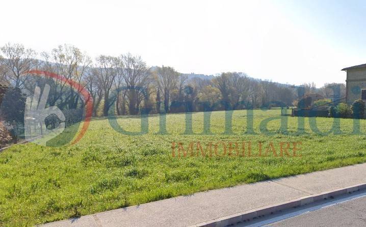 terreno agricolo in vendita ad Assisi in zona Palazzo