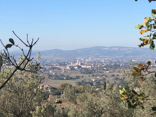 terreno agricolo in vendita ad Assisi in zona Viole