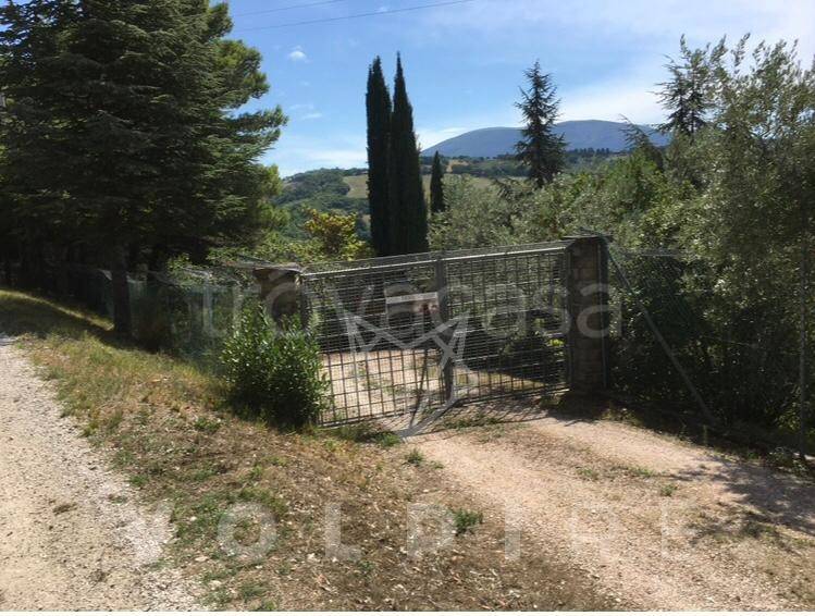 terreno agricolo in vendita ad Assisi