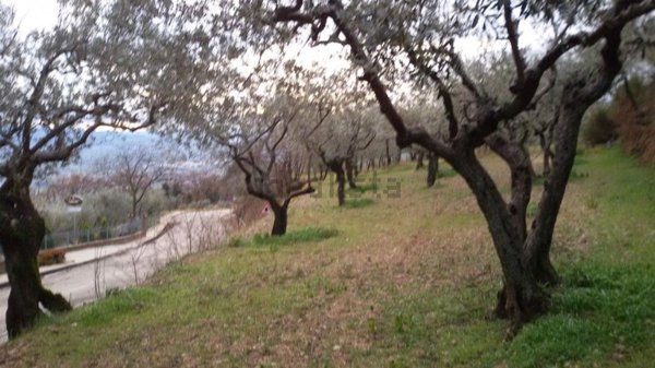 terreno edificabile in vendita ad Assisi