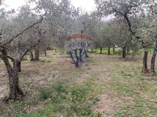 terreno edificabile in vendita ad Assisi in zona Viole