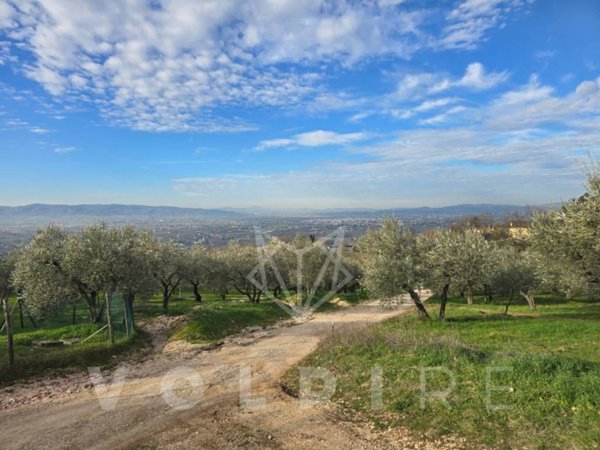 terreno agricolo in vendita ad Assisi in zona Viole