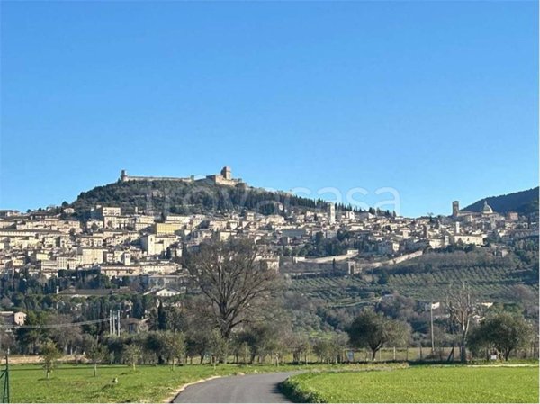 terreno agricolo in vendita ad Assisi in zona Santa Maria degli Angeli