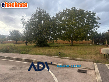 terreno edificabile in vendita ad Assisi in zona Petrignano