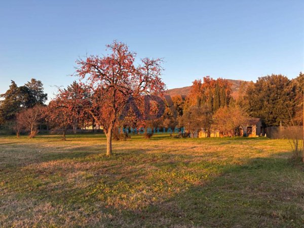 terreno agricolo in vendita ad Assisi in zona Rivotorto