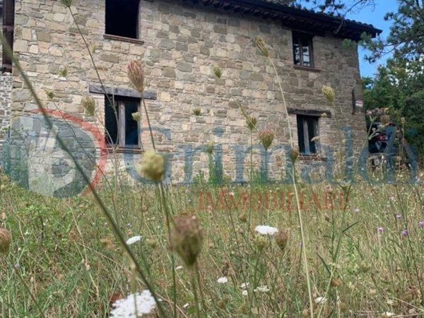 casale in vendita ad Assisi in zona San Presto