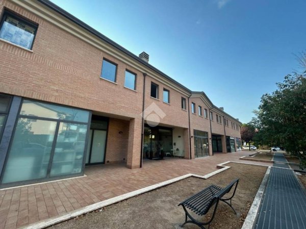appartamento in vendita ad Assisi in zona Santa Maria degli Angeli