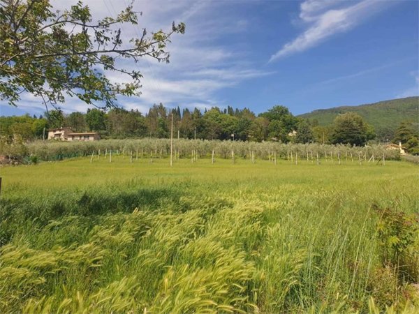 terreno agricolo in vendita ad Assisi