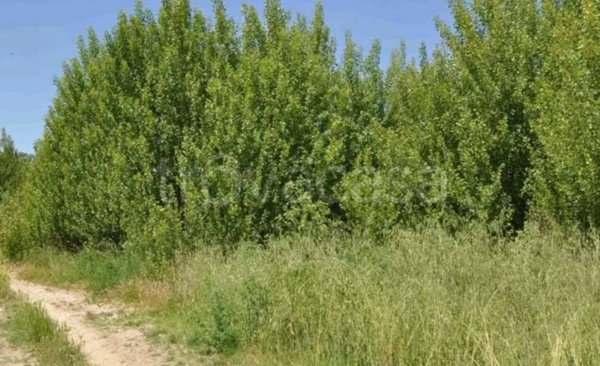 appartamento in vendita ad Assisi in zona Castelnuovo