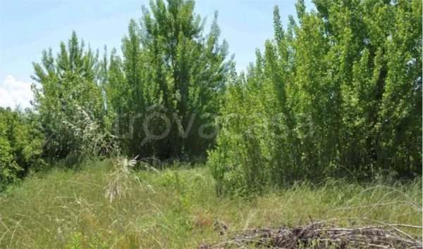 appartamento in vendita ad Assisi in zona Castelnuovo