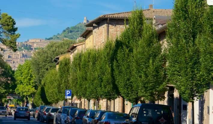 appartamento in vendita ad Assisi in zona Santa Maria degli Angeli