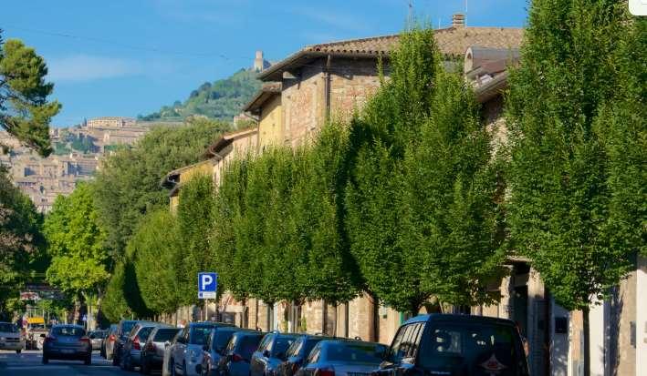 appartamento in vendita ad Assisi in zona Santa Maria degli Angeli